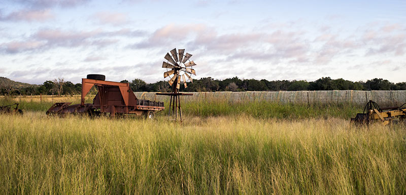 Hay Field, Comfort Texas