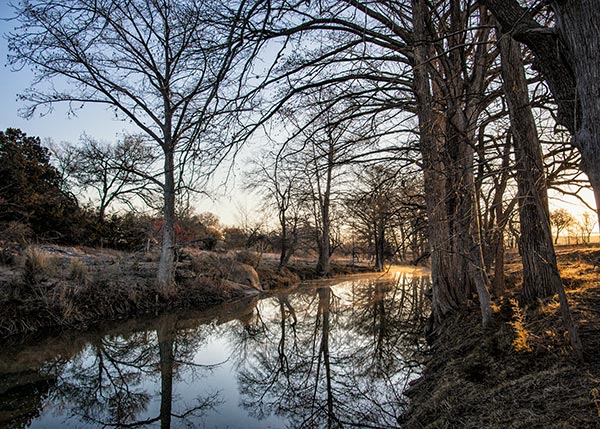 Winter - Camp Verde, Texas