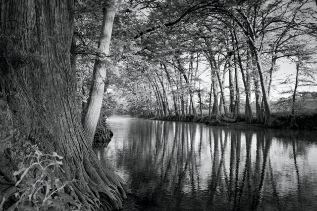 Early Morning Medina River, black and white